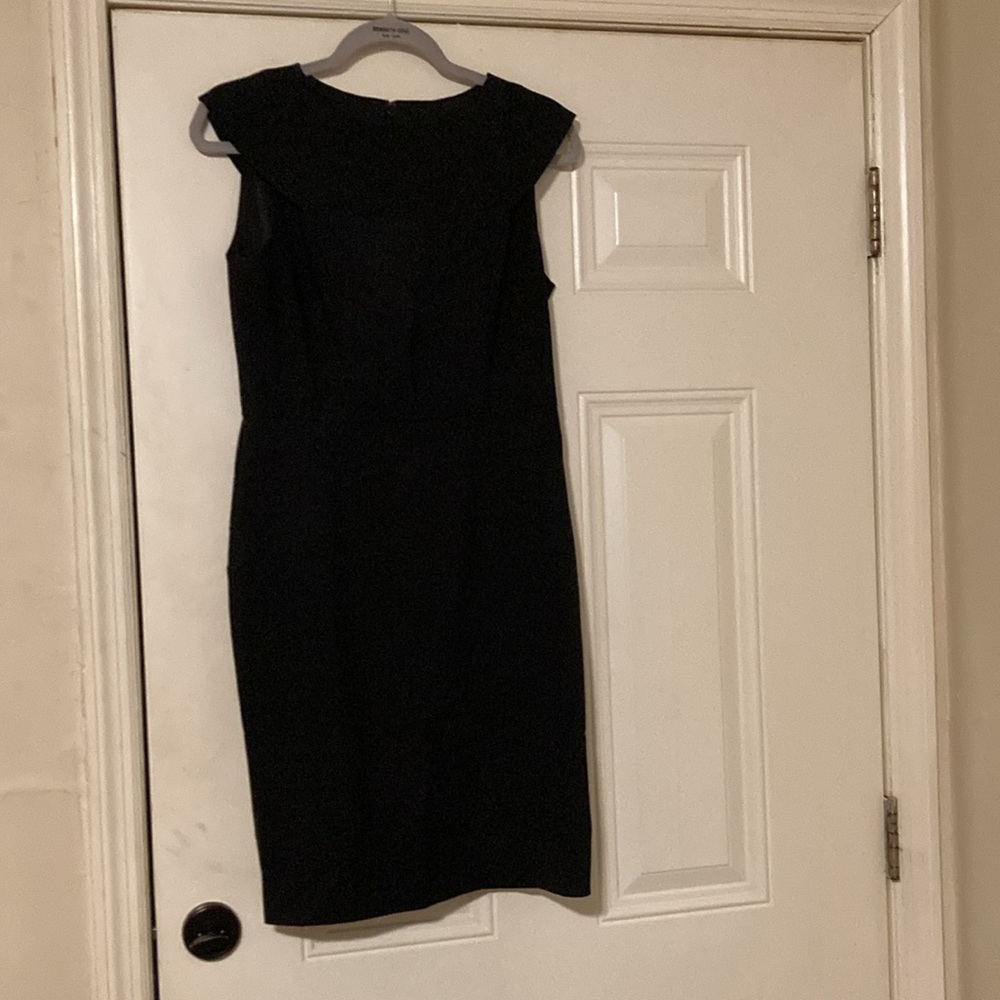 J Crew Women’s Fitted Dress